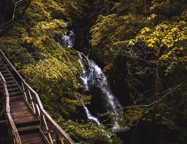 Izletište-Jankovac-slika-1